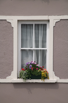 White Trim Window